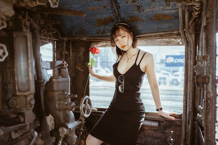 Woman In A Black Dress Inside A Train