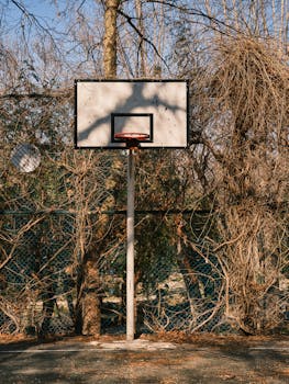 A solitary basketball hoop amidst overgrown branches on a sunny day outdoors.