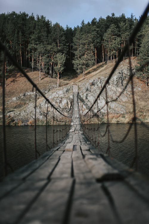 Brown Wooden Bridge over River