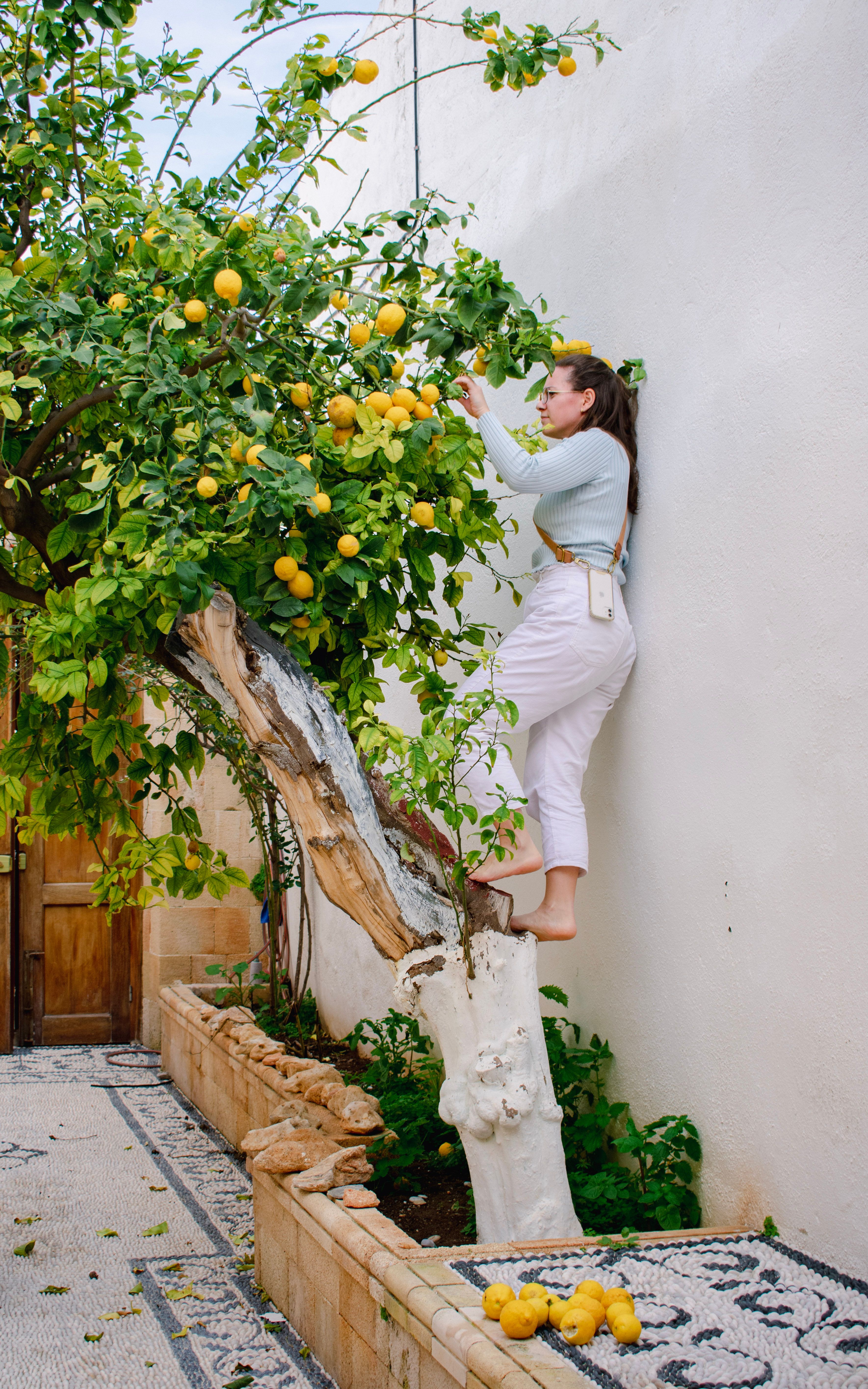 Woman Standing Barefoot on Tree Trunk · Free Stock Photo