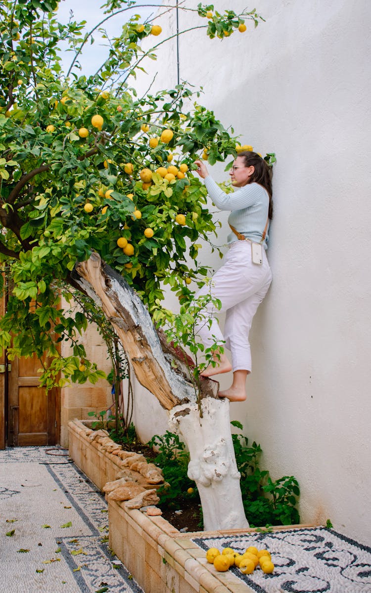 Woman Standing Barefoot On Tree Trunk 