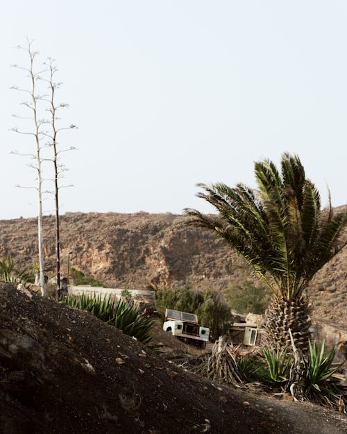 Abandoned Car in a Desert