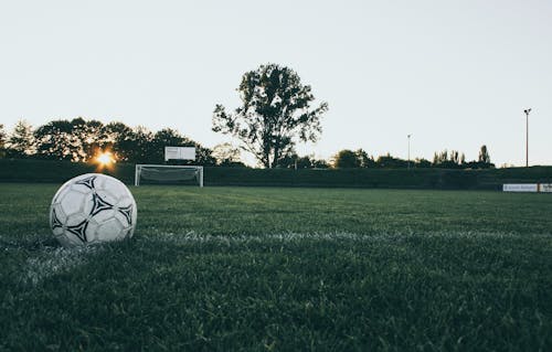 Black and White Soccer Ball on Green Grass Land during Daytime