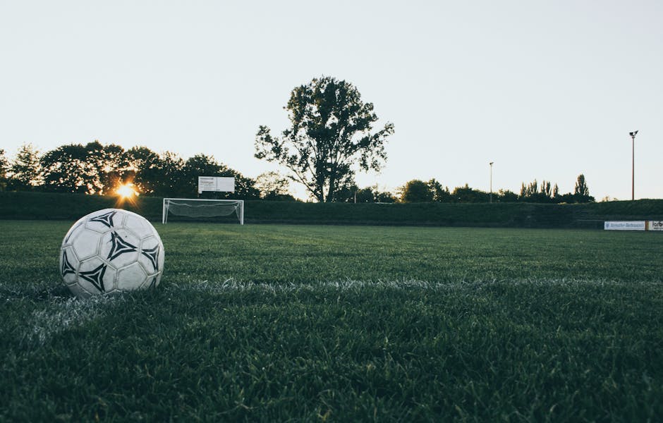 Black and White Soccer Ball on Green Grass Land during Daytime
