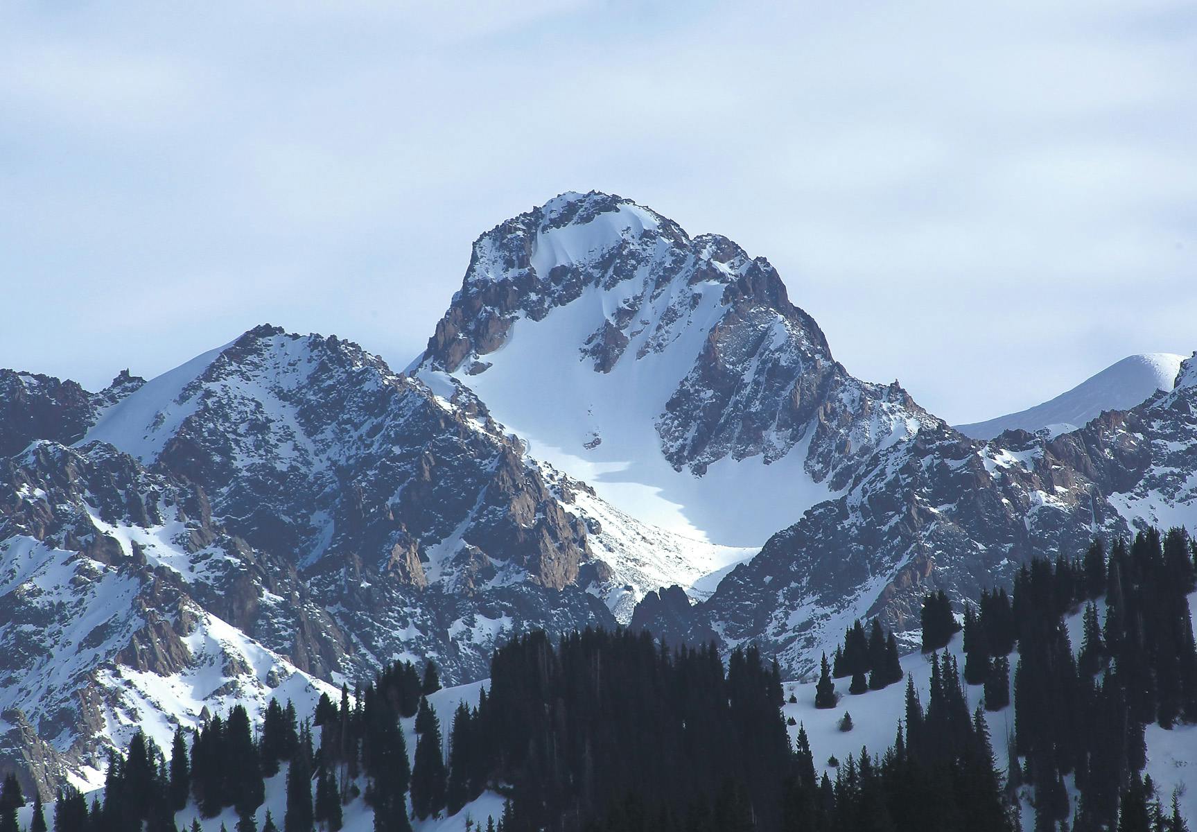 Rugby players packing down in a scrum during an intense match