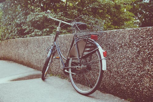 Imagine de stoc gratuită din anotimp, arbori, bicicletă