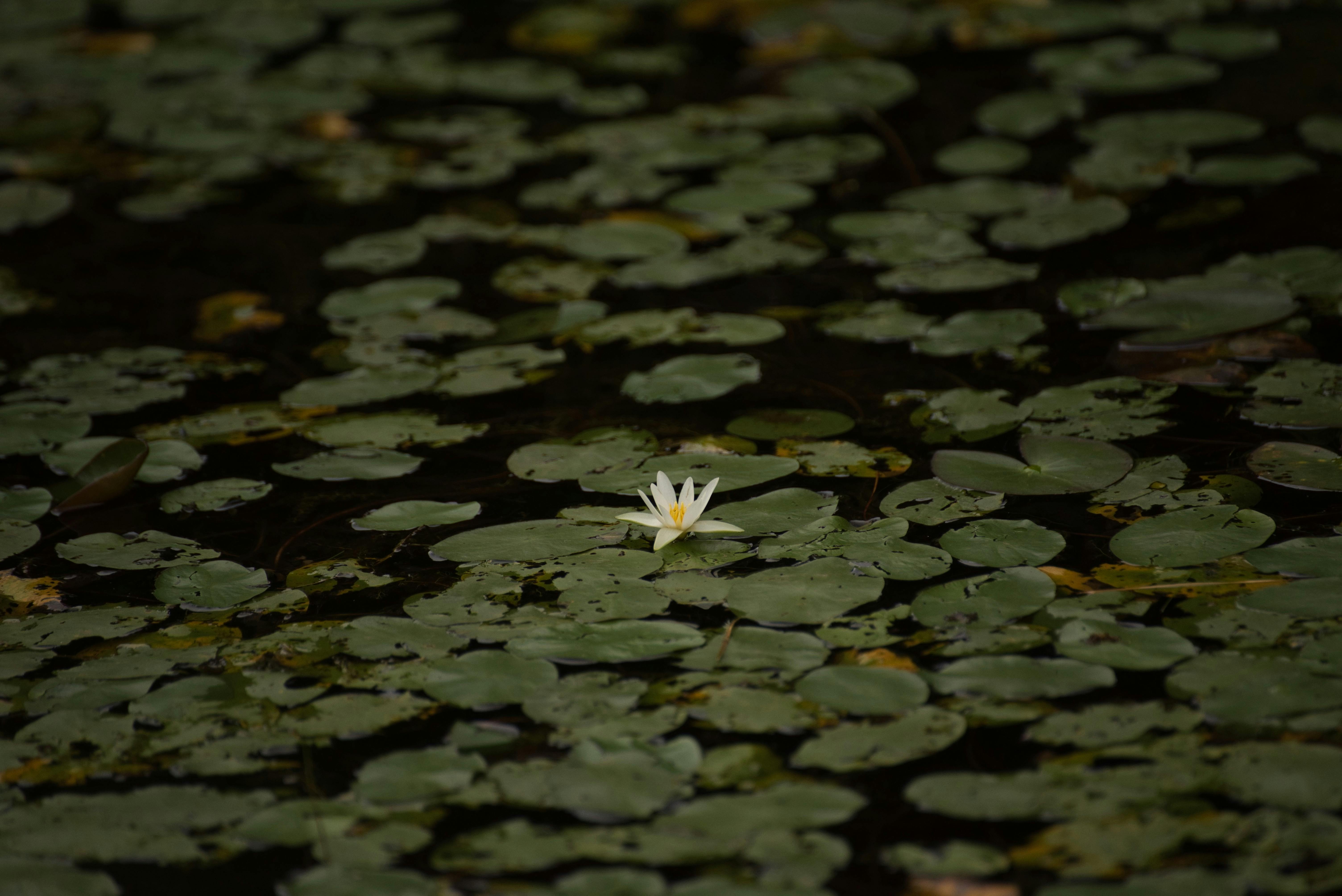 Landmarks in Saga Prefecture