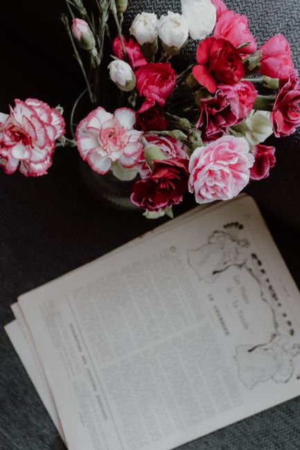 Beautiful arrangement of pink carnations beside a vintage book in Paris, evoking nostalgia and elegance.