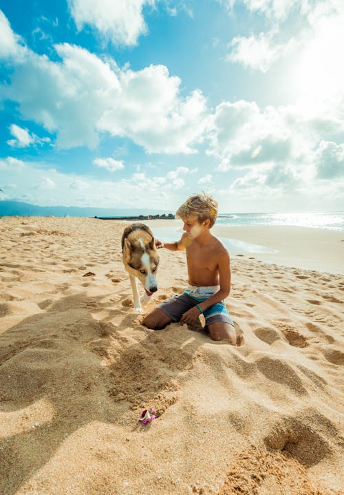 男孩坐在棕色的沙滩上