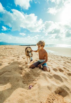 A young boy plays with his dog on a sunny beach in Waipahu, Hawaii.