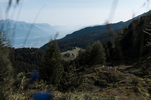 Free Breathtaking view of the lush green mountain landscape in Tyrol, Austria, under a clear sky. Stock Photo