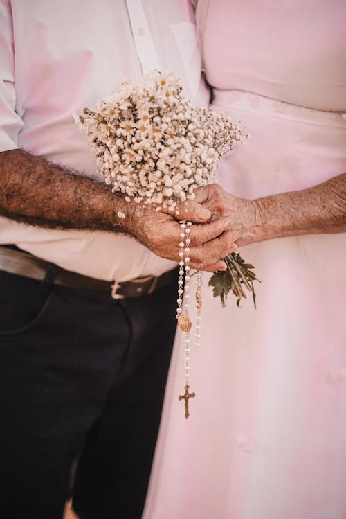 Fotos de stock gratuitas de de cerca, flores, flores silvestres