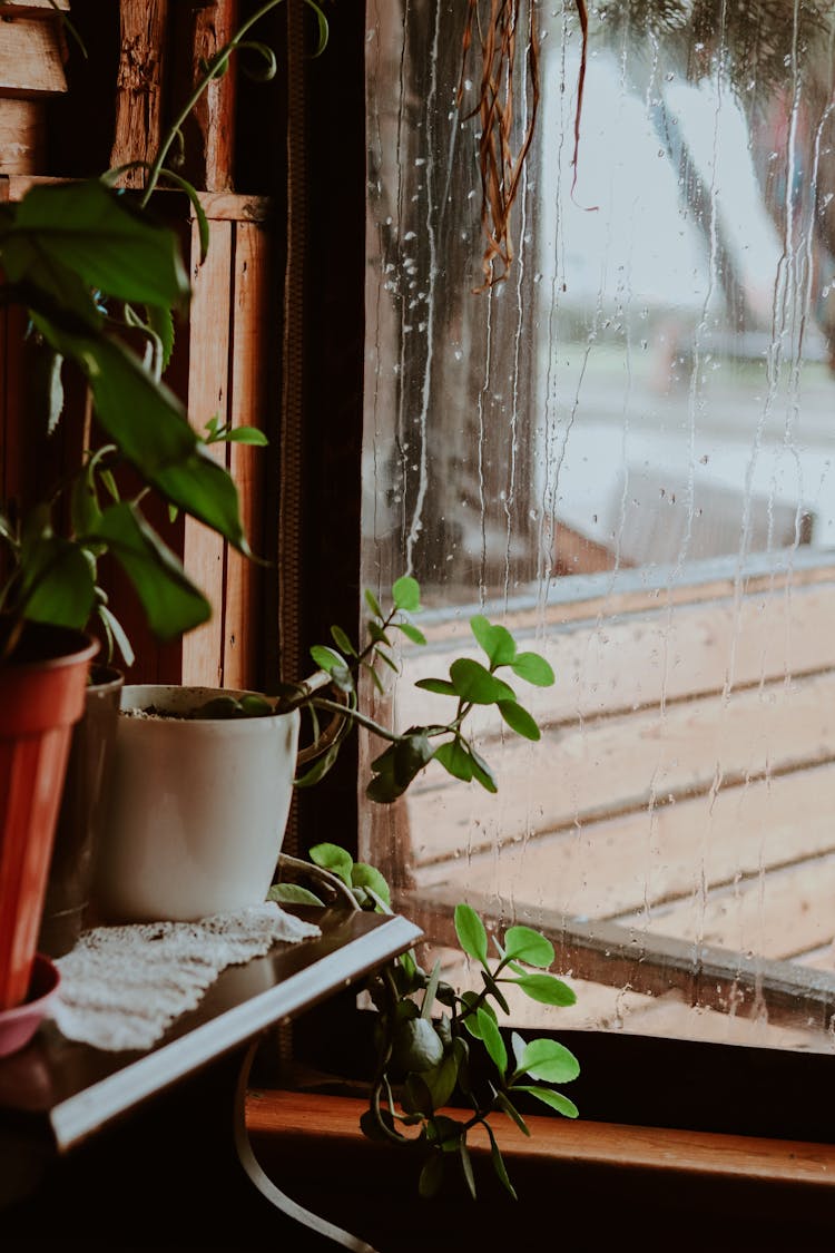 Raindrops On Glass Window