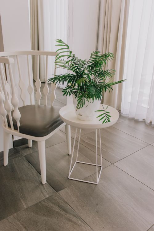 Free A sleek modern interior featuring a white chair and a potted plant on a small table. Stock Photo
