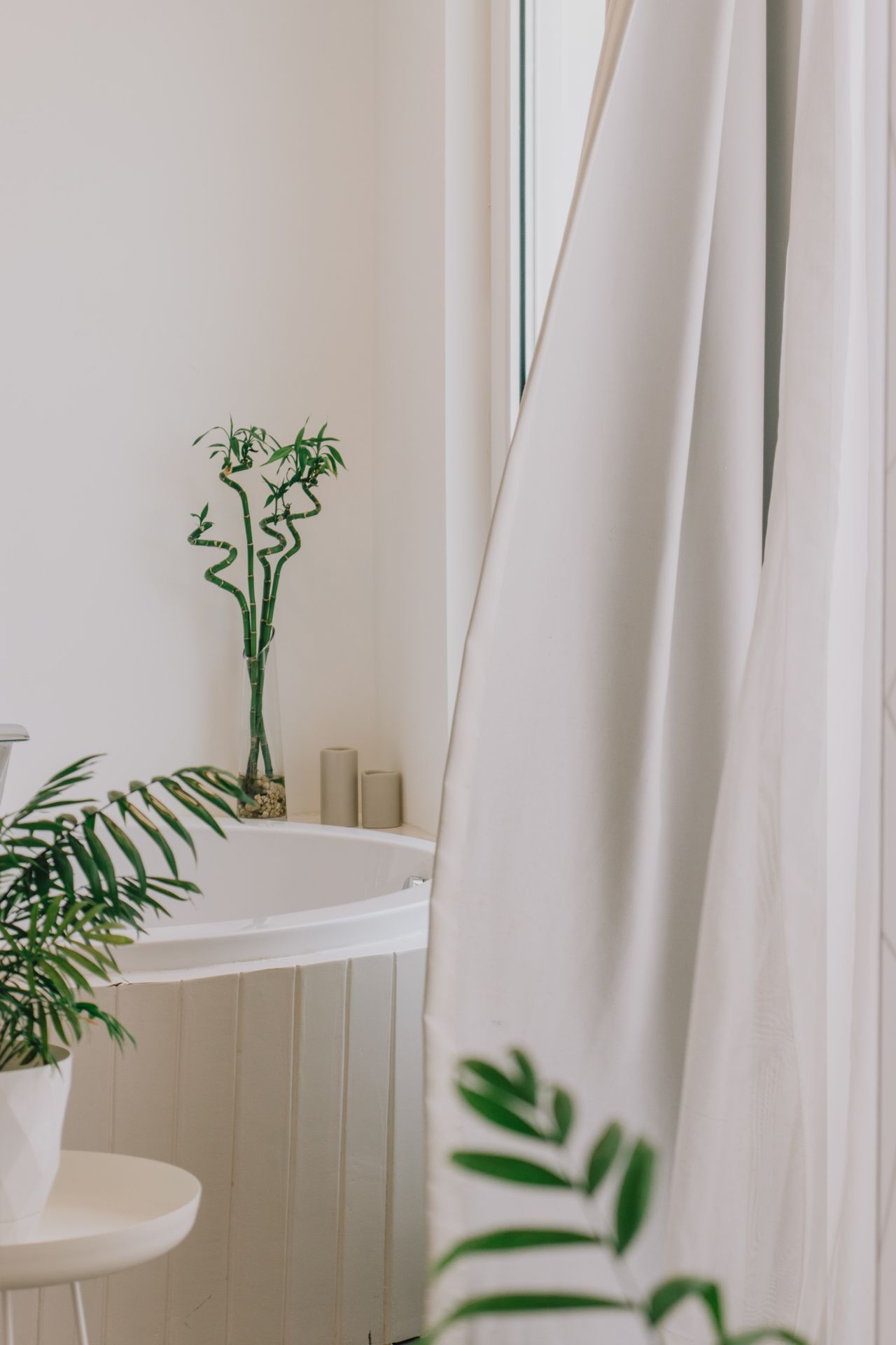 Bright bathroom corner with a white soaking tub, lucky bamboo in a glass vase, and a potted palm beside the tub