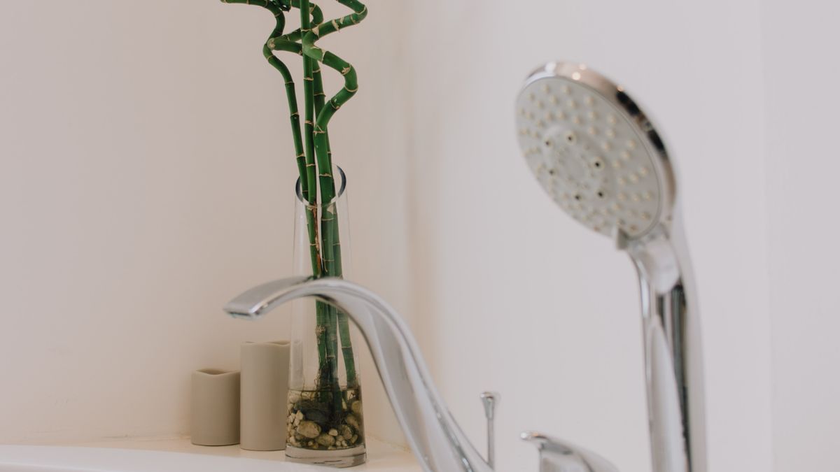 Créer une ambiance zen dans votre salle de bains en 2026