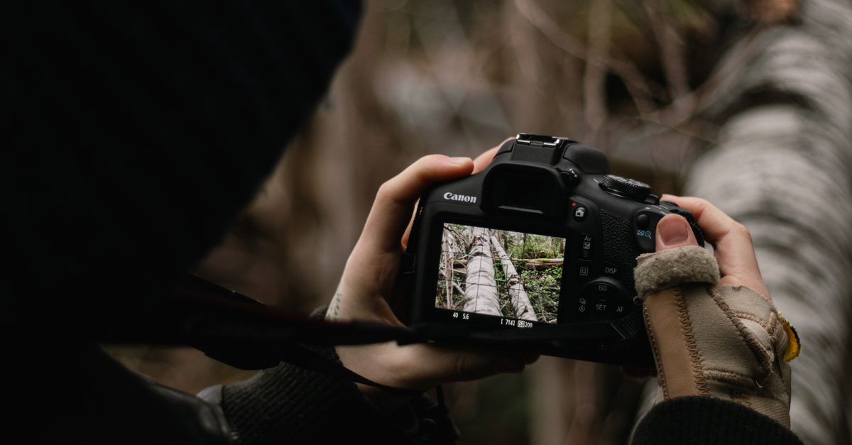 Person Image Using Camera Person Using a DSLR Camera · Free Stock Photo