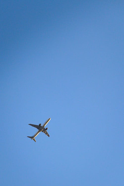 Kostnadsfri bild av blå himmel, flyg, flygande