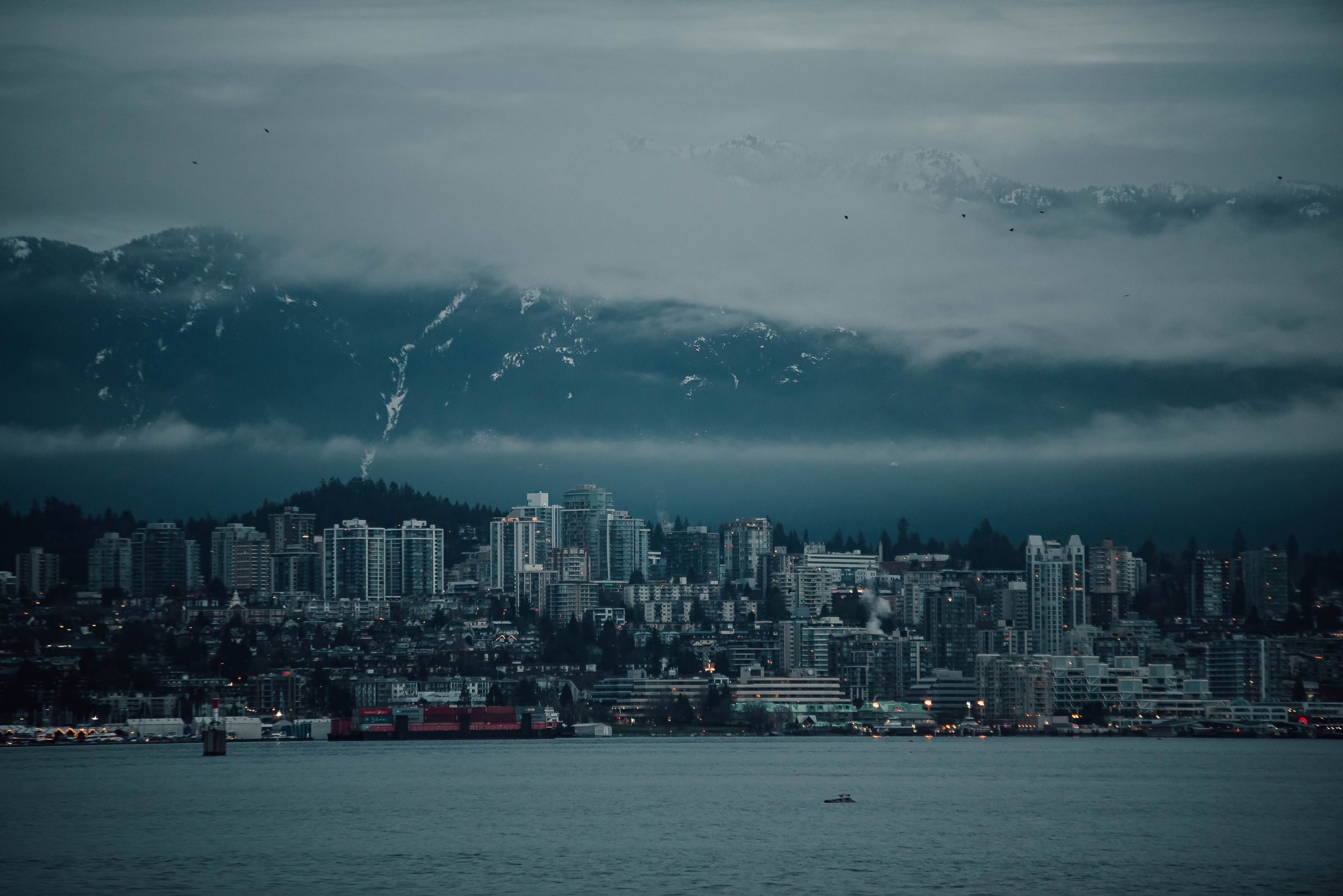 Warm Vancouver Family Exploration