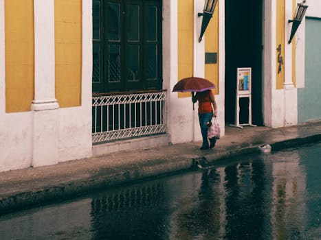A woman walks under an umbrella in a rainy urban street, reflecting the weather.