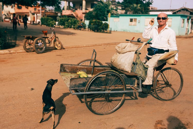 Dog Near Man On Bicycle With Trailer