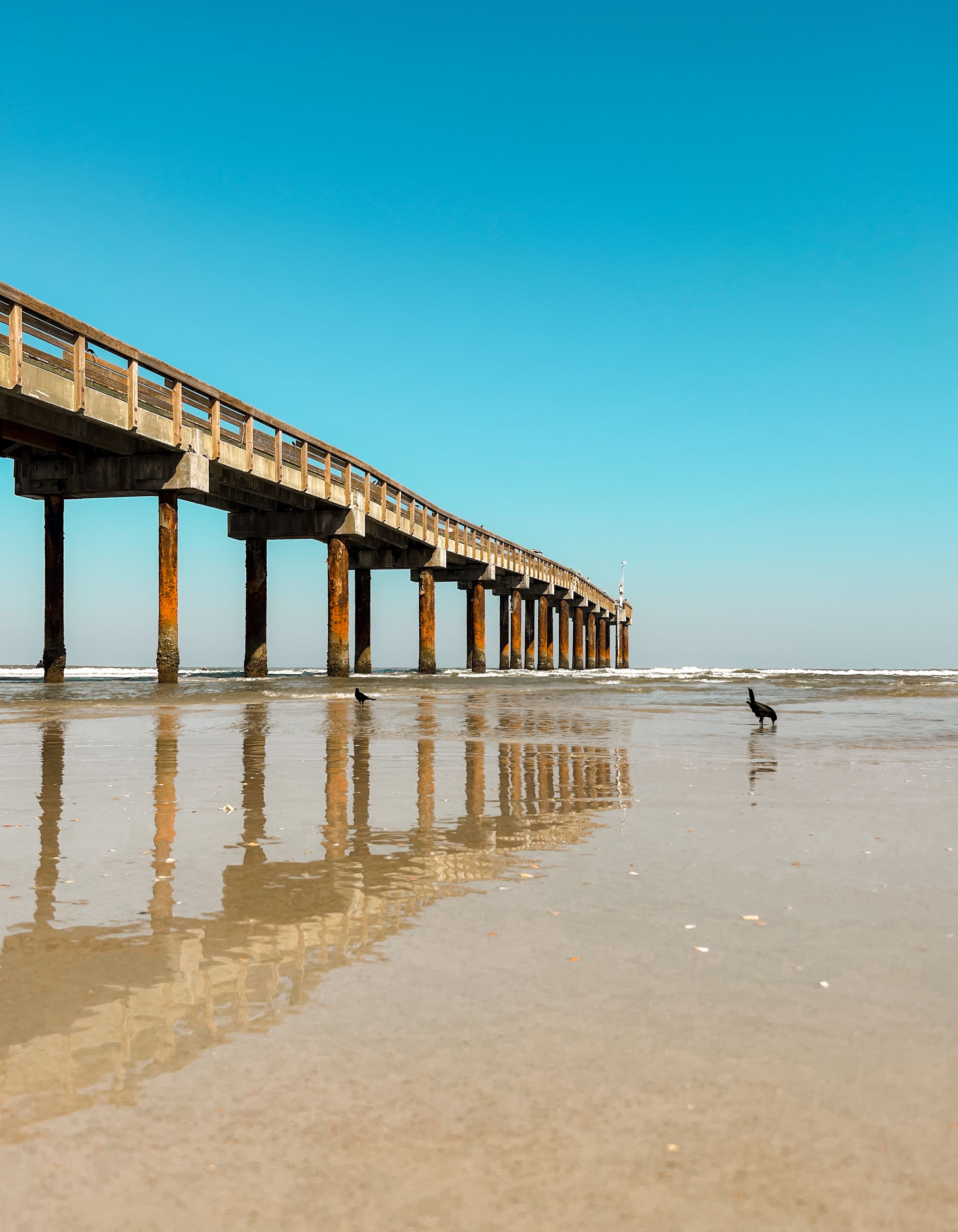 Photo of a Pier · Free Stock Photo
