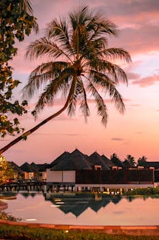 Beautiful sunset view of overwater bungalows with palm trees in a tropical paradise.