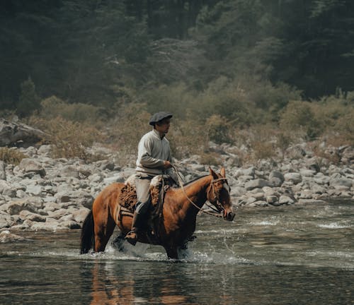 Man Riding Brown Horse on River