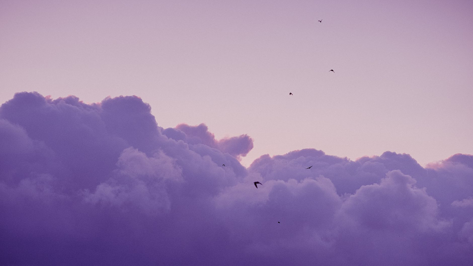 A captivating scene of purple clouds at twilight with birds flying in the serene sky.