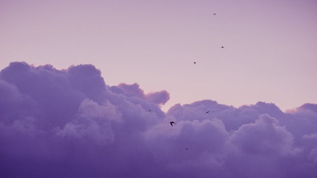 A captivating scene of purple clouds at twilight with birds flying in the serene sky.