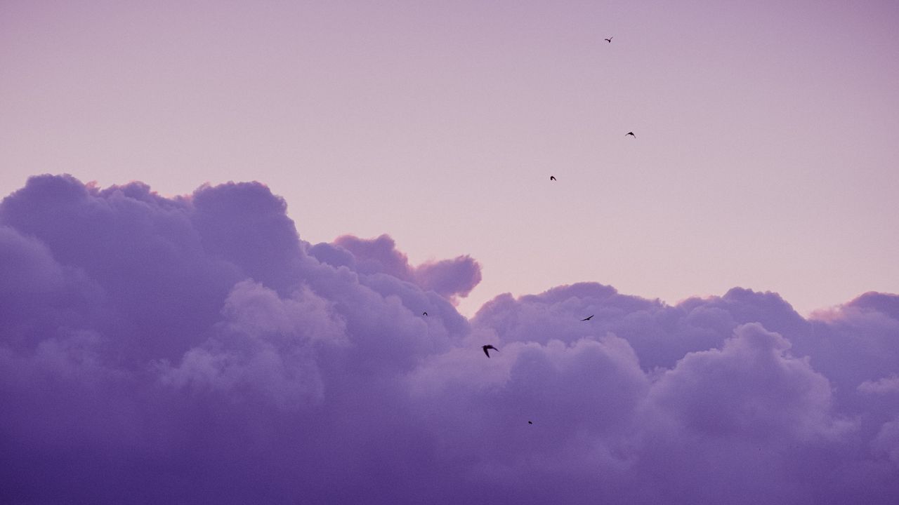 a captivating scene of purple clouds at twilight with birds flying in