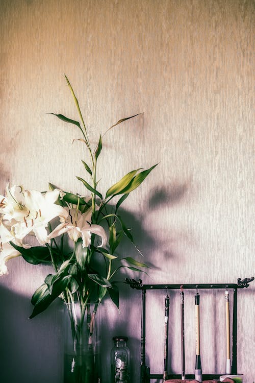 Free Stock Photo Of , ,