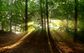 Artwork for Embracing Silence and Nature for Holistic Well-Being: A Conversation with Jim Laird