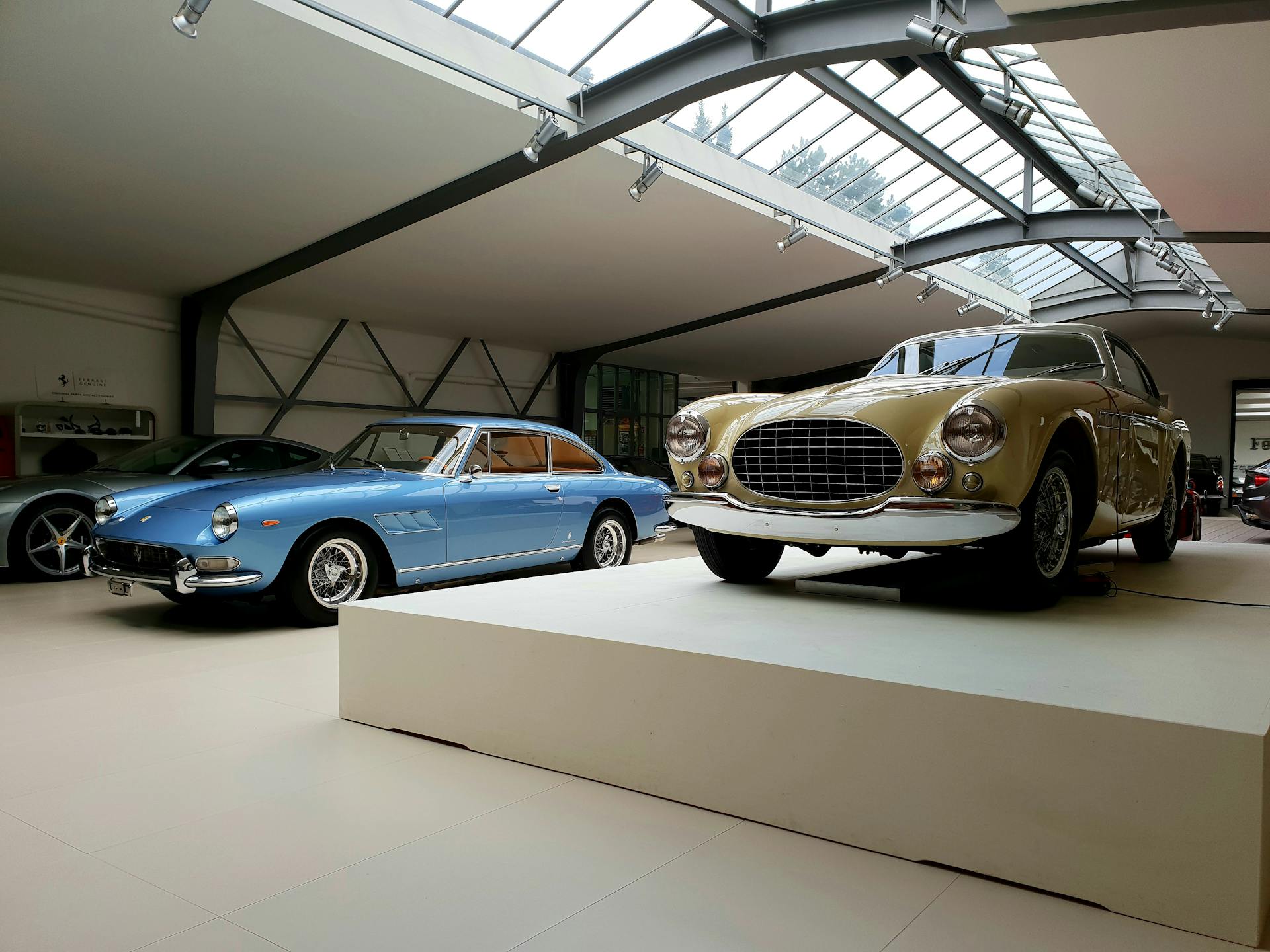 Exquisite collection of vintage Ferraris in a modern showroom, showcasing automotive elegance.