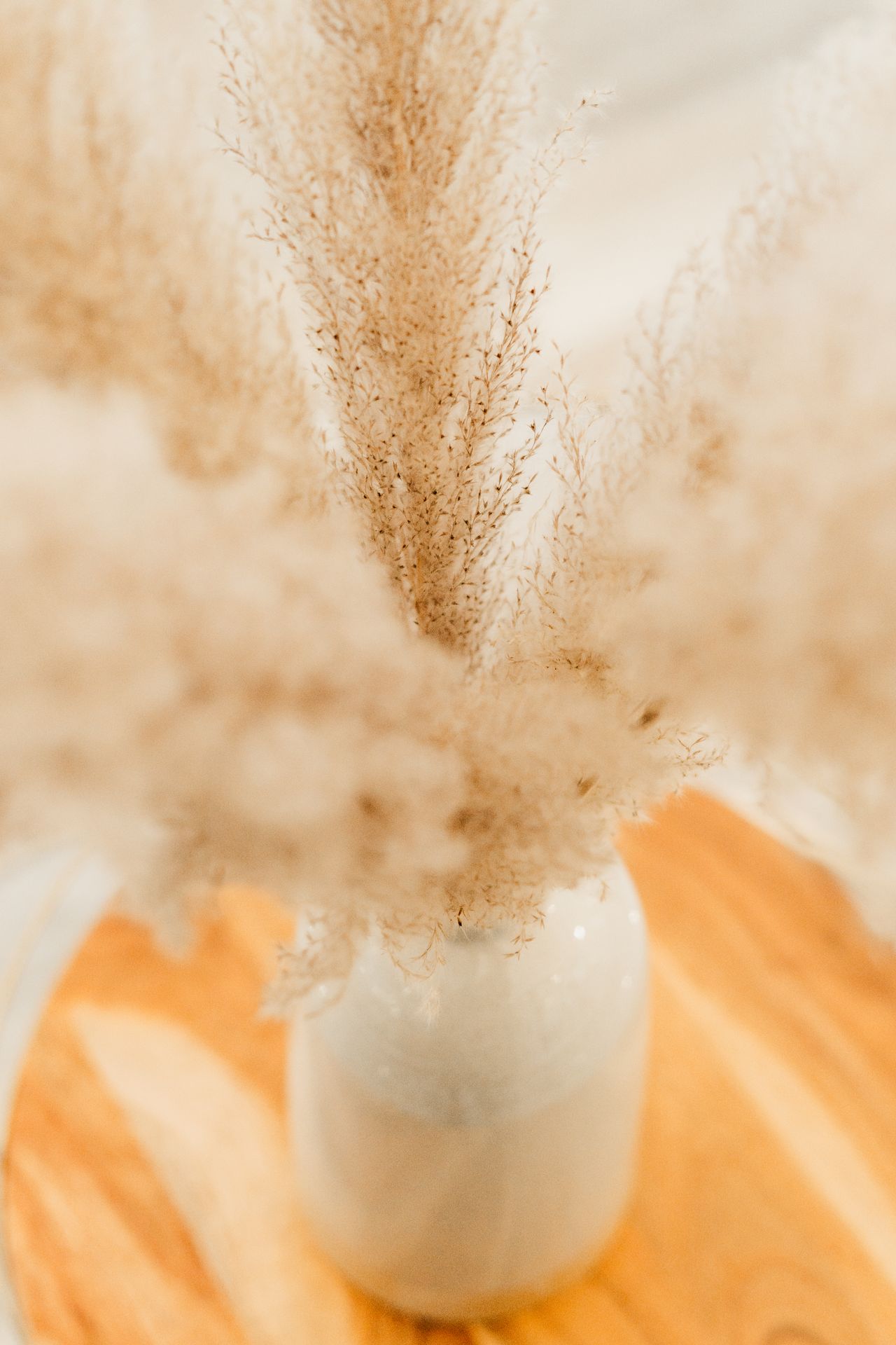 Close-up of feathery cream pampas plumes in a white vase on a wooden table