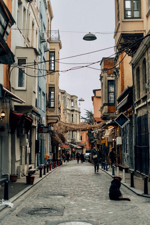 People Walking on Narrow Street