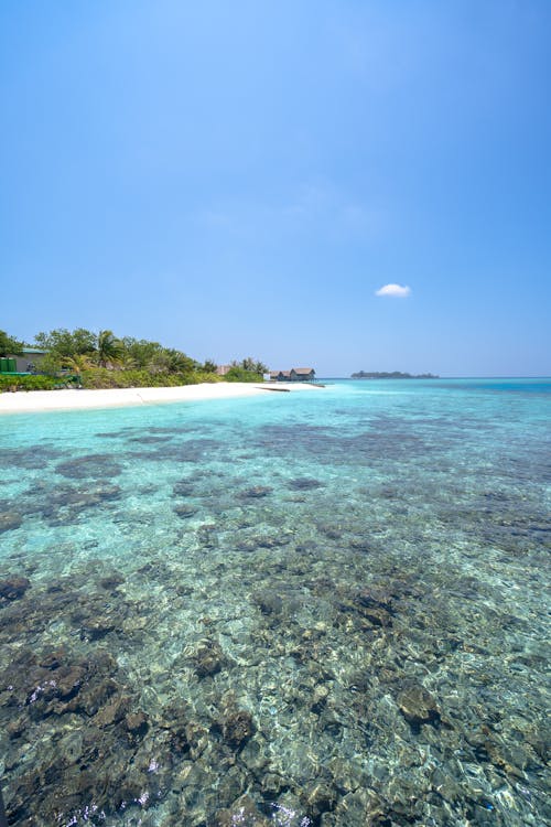 Free Foto profissional grátis de água, areia, atol Stock Photo