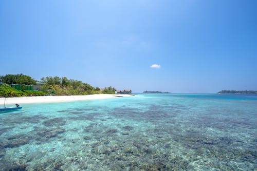 Body of Water under Blue Sky