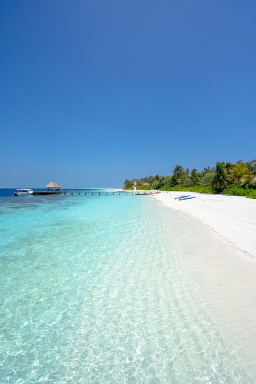 Free Discover the tranquil beauty of a Maldives beach with clear turquoise waters and lush green palm trees. Stock Photo