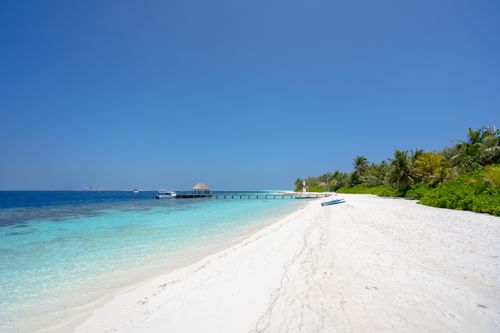 Free A serene view of a pristine white sandy beach with turquoise waters in the Maldives. Stock Photo