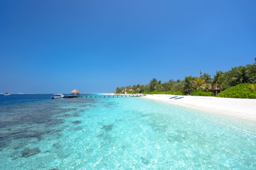 Free Stunning tropical beach with turquoise water and palm trees under a clear blue sky. Stock Photo