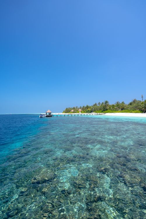 Free Stunning Maldives coastline featuring crystal clear waters and a serene beach scene. Stock Photo