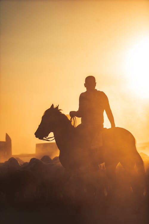 Silhouette of a Man Riding a Horse