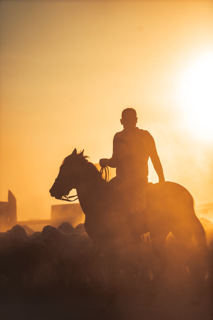 Silhouette Of A Man Riding A Horse