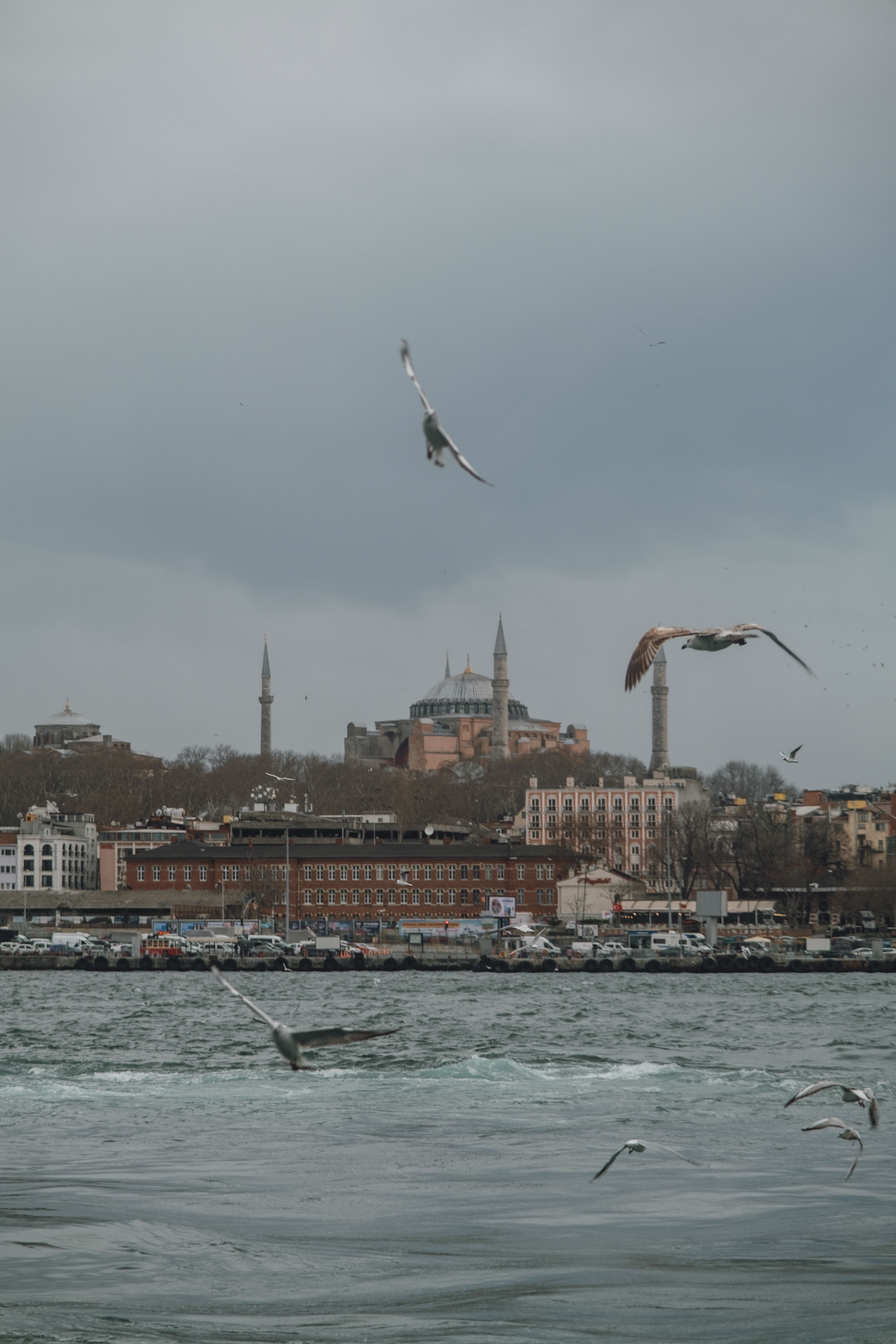 Serene view of seagulls flying over the Bosphorus with Istanbul's historic skyline in the background.