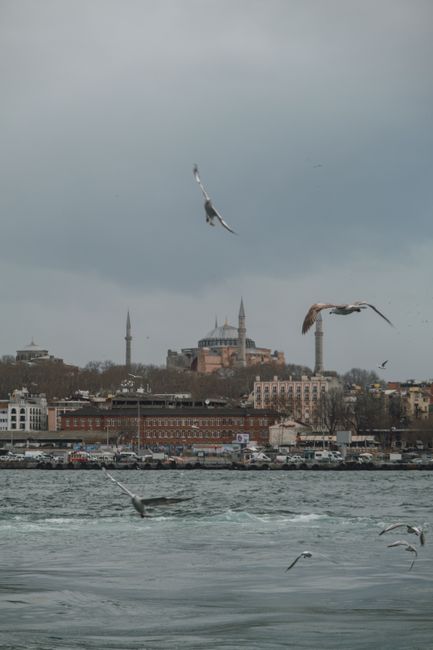 Serene view of seagulls flying over the Bosphorus with Istanbul's historic skyline in the background.