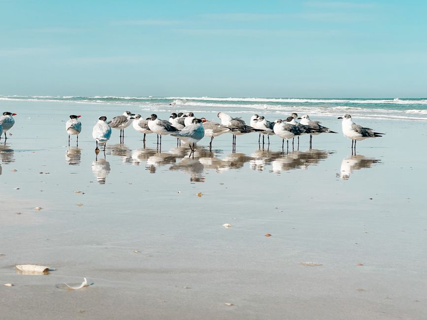 New Smyrna Beach