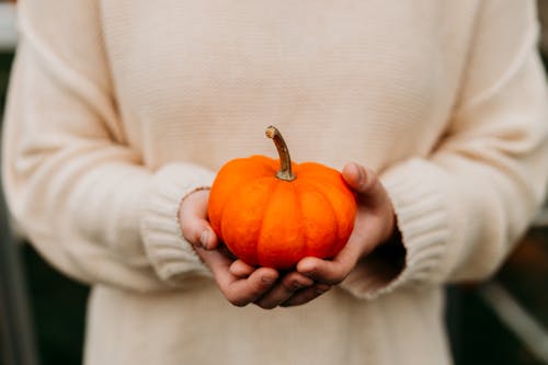 Fotos de stock gratuitas de caer, calabaza, de cerca