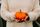 thanksgiving