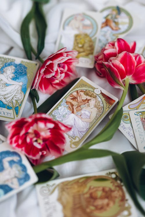 Free Stems of Red Flowers and Tarot Cards on a White Surface Stock Photo